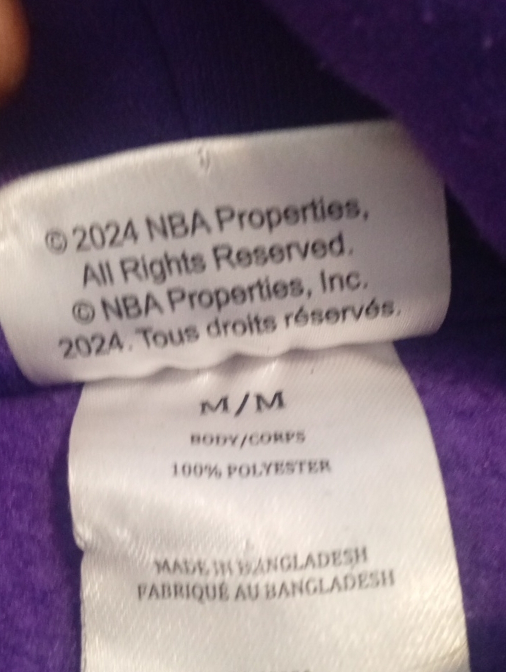 Toronto Raptors Hoodie - Picture 5 of 9